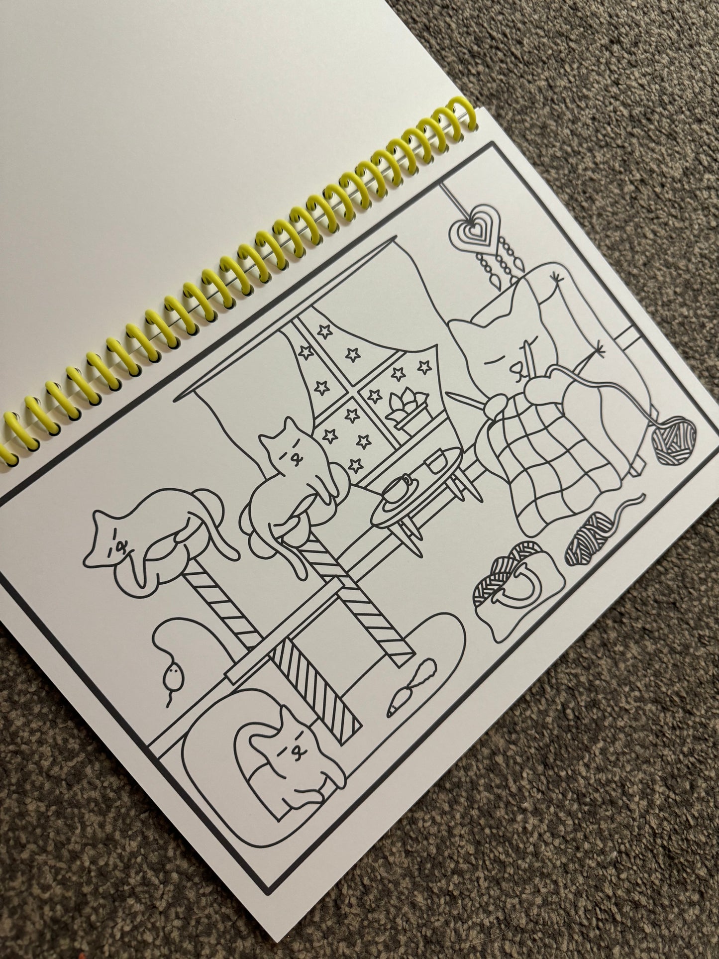Colour me cosy cat