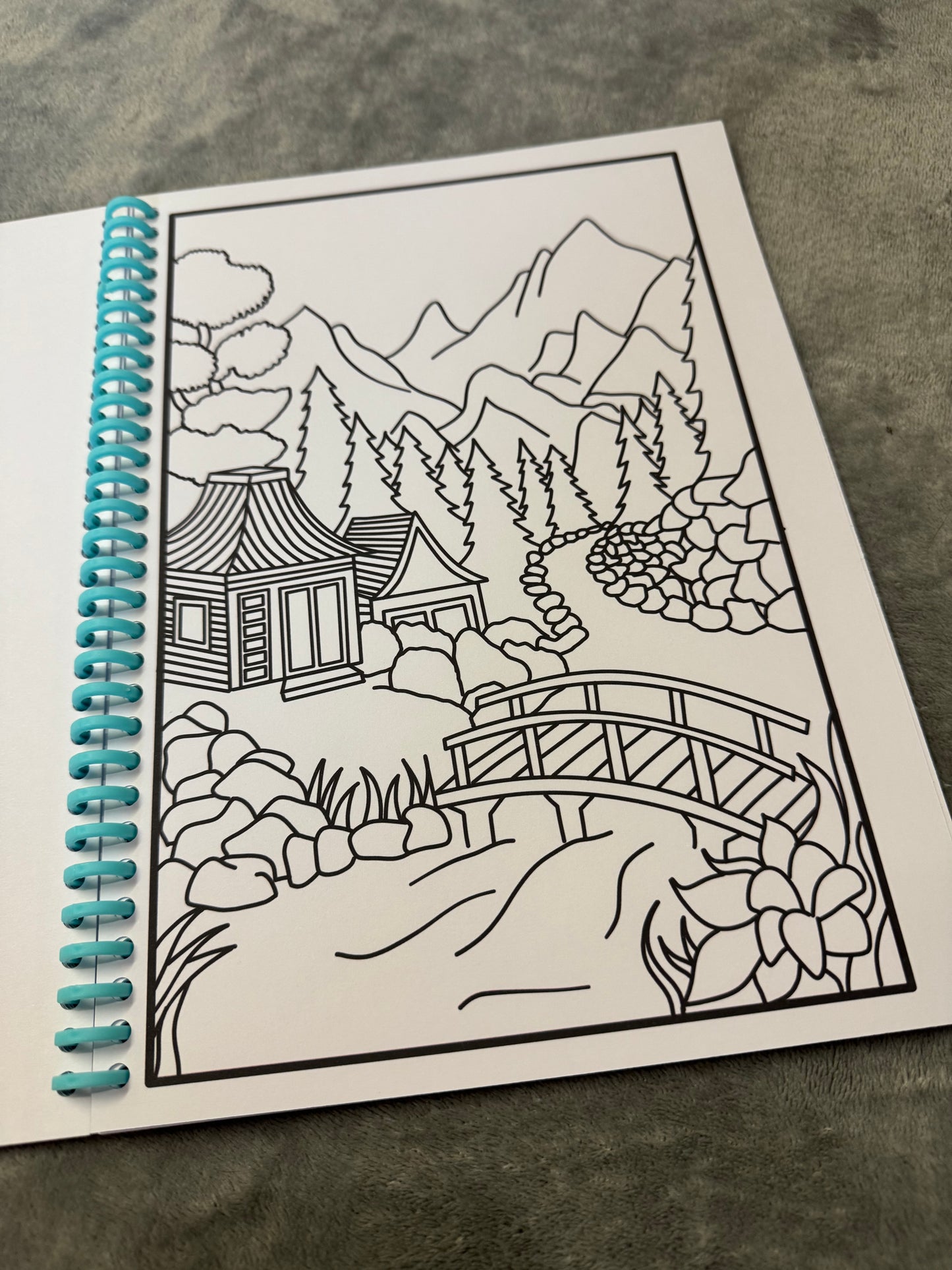 Travel edition